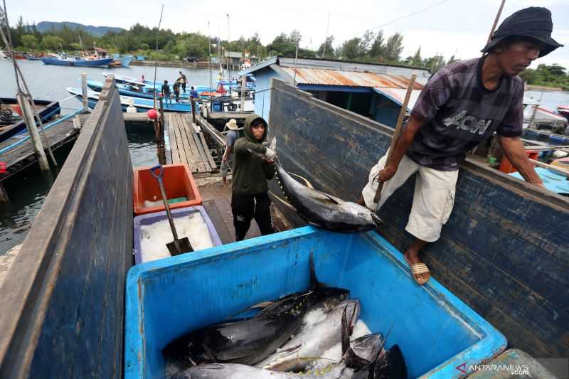 Konsumsi Ikan Ditingkatkan Melalui Diversifikasi Olahan Produk