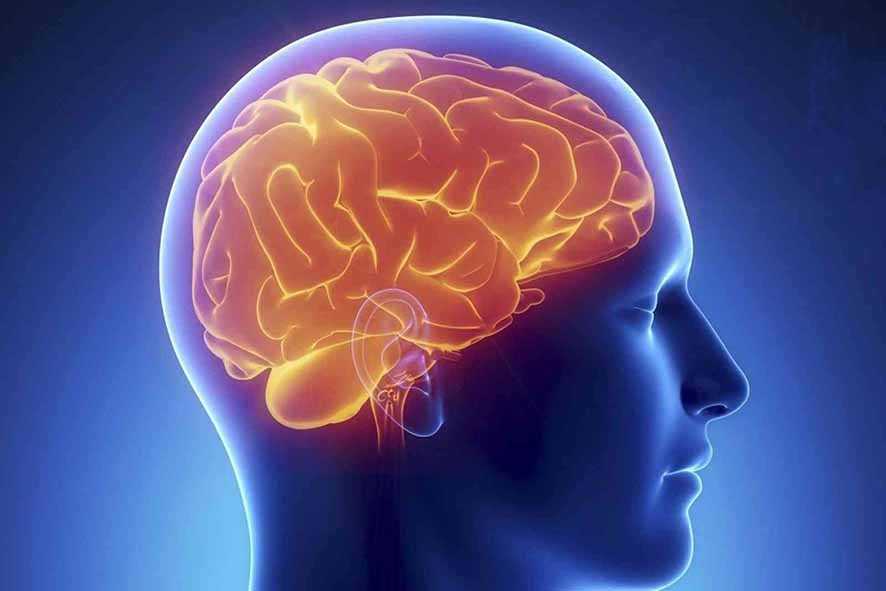 Konsumsi Makanan Olahan Bisa Merusak Memori Otak