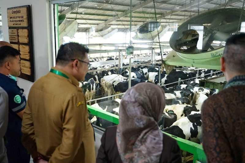 Konsumsi Susu yang Cukup Kunci Kecukupan Gizi