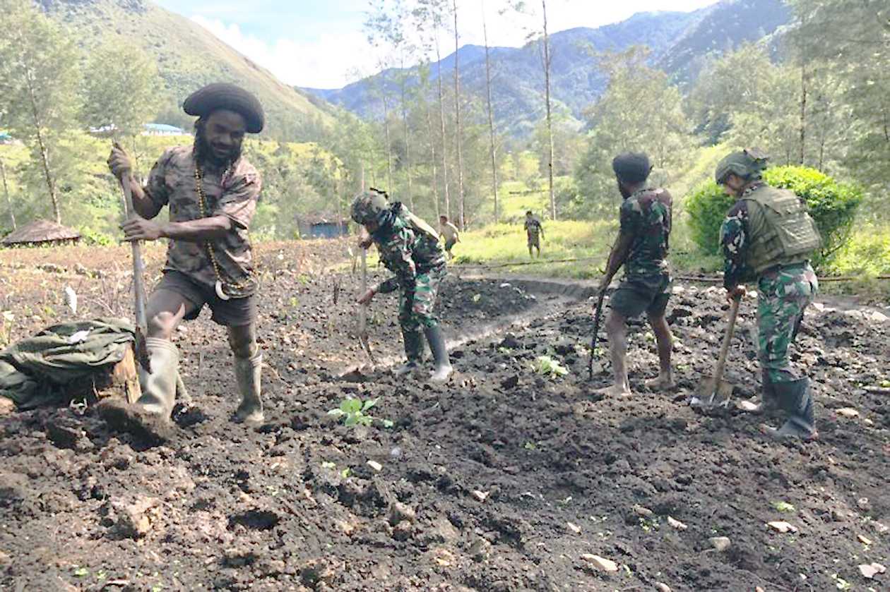 Koops TNI Habema Bercocok Tanam Bersama Warga Puncak Papua Tengah