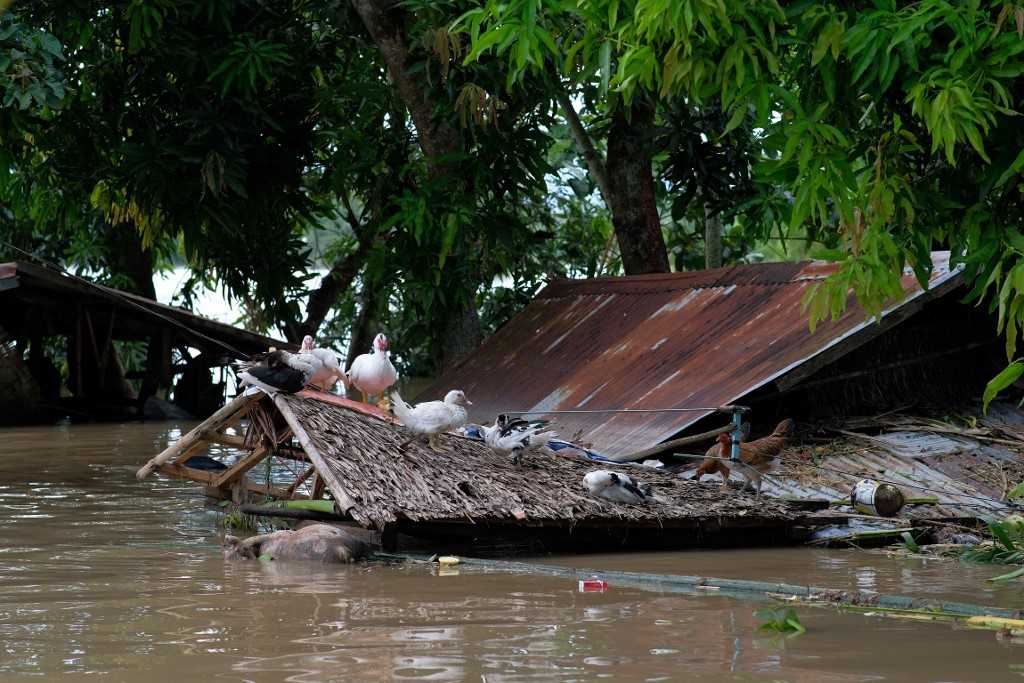 Korban Tewas Akibat Badai Tropis Trami di Filipina Meningkat Menjadi 110 Orang 5