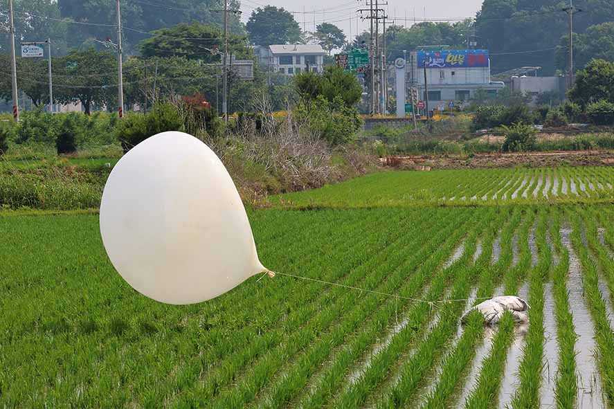 Korsel Deteksi Parasit pada Balon Korut