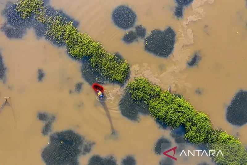 Korsel Tawarkan Bantuan Kemanusiaan ke Korut Setelah Banjir Hebat