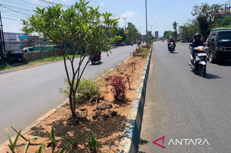 Kota Bengkulu Sediakan 1.500 Bunga untuk Media Jalan