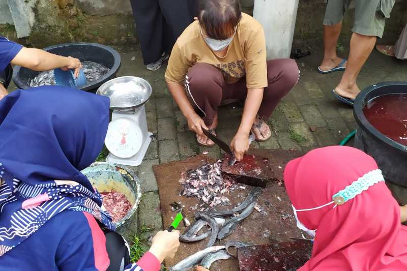 Kreatif di Tengah Pandemi, Guru Ini Manfaatkan Waktu Luang untuk Budi Daya Ikan Lele