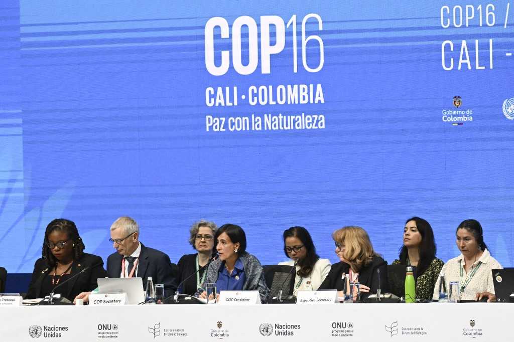 KTT Keanekaragaman Hayati COP16 di Kolombia Dihadiri oleh 200 Negara