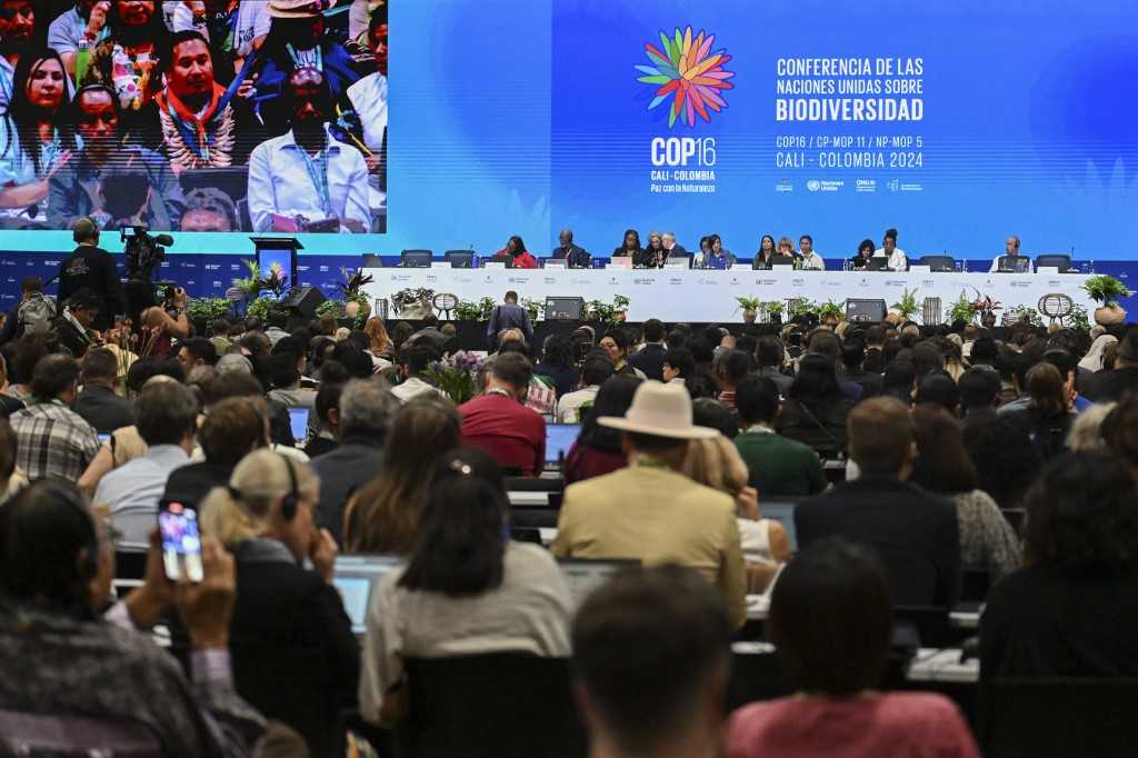 KTT Keanekaragaman Hayati COP16 di Kolombia Dihadiri oleh 200 Negara 3