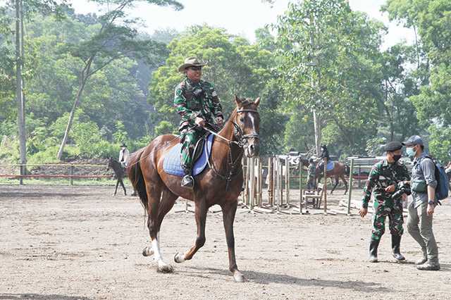 Kuda Masih Dibutuhkan dalam Pertempuran