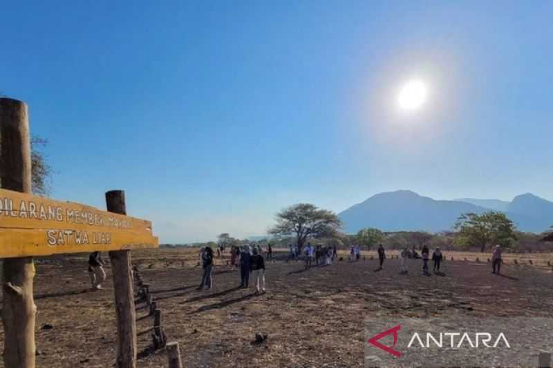 Kunjungan Wisata TN Baluran Meningkat Sejak Kawah Ijen Tutup Sementara