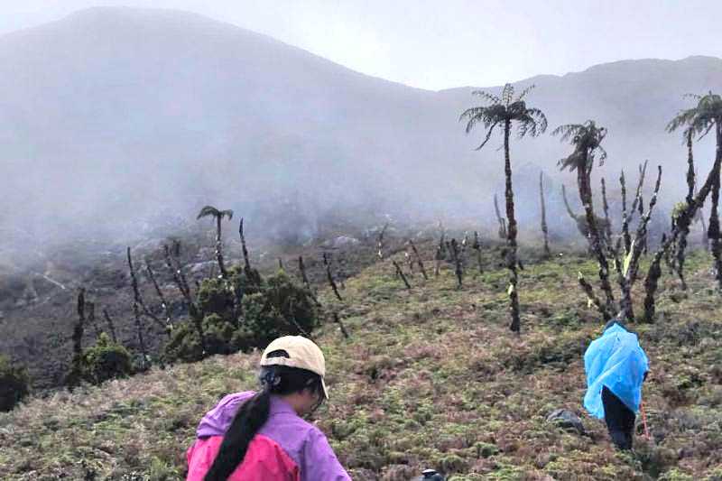 Kuota pendakian Gunung Binaiya penuh jelang hari kemerdekaan RI