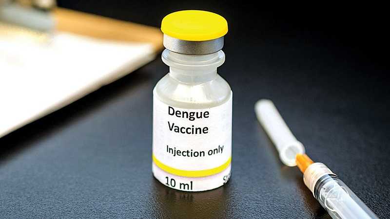 Kurangi Angka Kasus Demam Berdarah dengan Vaksinasi