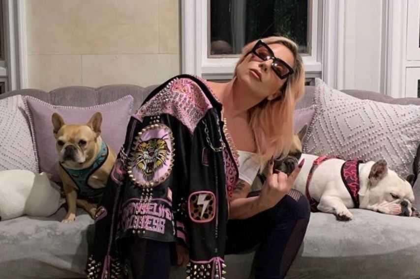 Lady Gaga Tolak Bayar Wanita yang Kembalikan Anjing-anjingnya