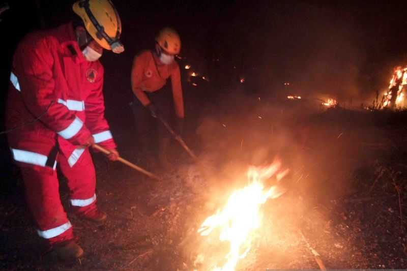 Lahan Perhutani di Gunung Raung Terbakar, Pemadaman Masih Berlangsung