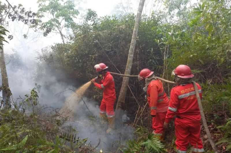 Lahan Terbakar di Sumsel Capai 2.948 Hektare