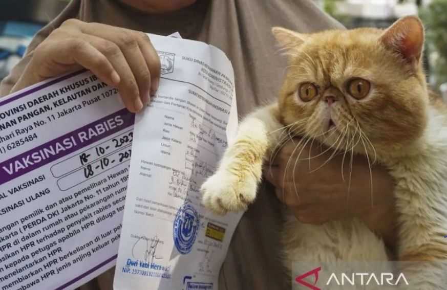 Lampaui Target 2023, Vaksinasi Rabies di Jakarta Barat Capai 102,4 Persen