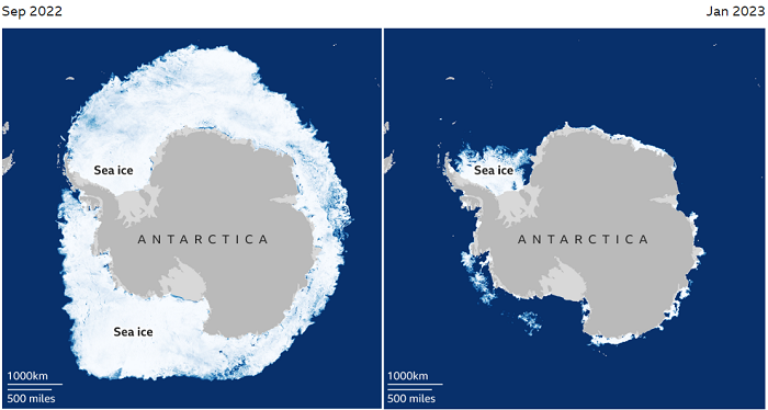 Lapisan Es Laut Antarktika Terus Mencair, Mencetak Rekor Terendah