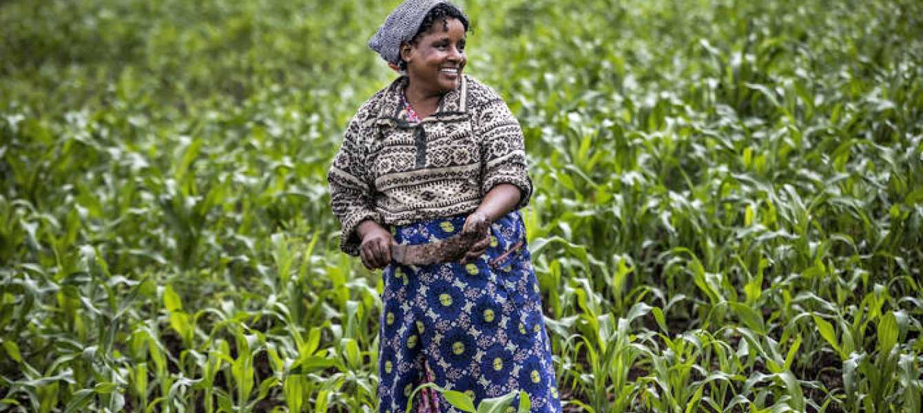 Laporan PBB Transformasi Digital Sektor Pertanian Bisa Mengatasi Kerawanan Pangan Afrika sub-Sahara