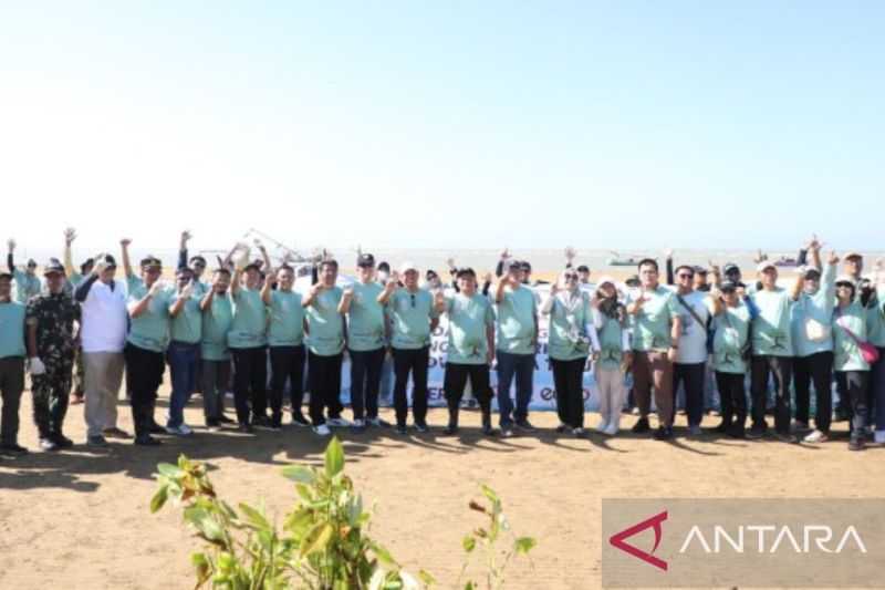 Lestarikan Lingkungan Pesisir, Pemprov Jatim Tanam 24.000 Pohon Mangrove di Kabupaten Sampang