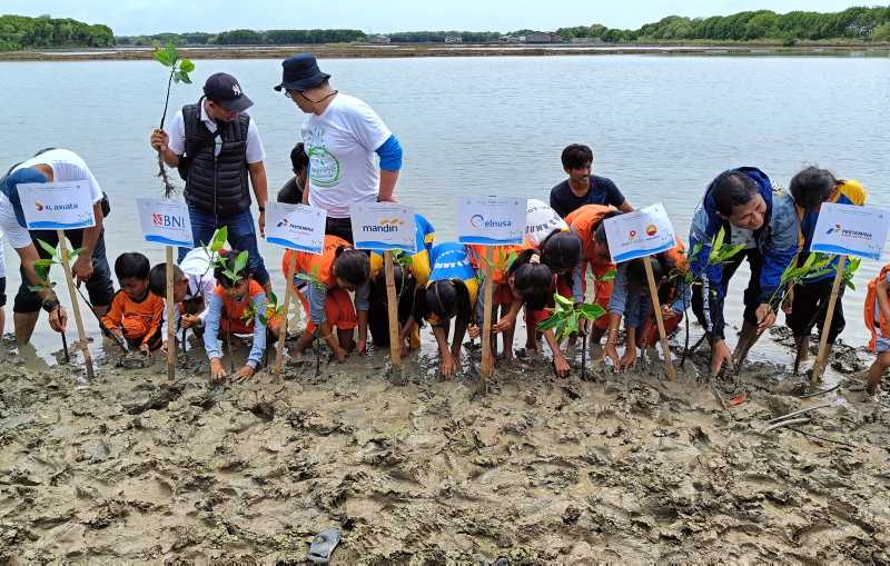 Libatkan Pelajar, JMI Ajak Warga Tanam Mangrove Untuk Menjaga Ekosistem Pesisir 1