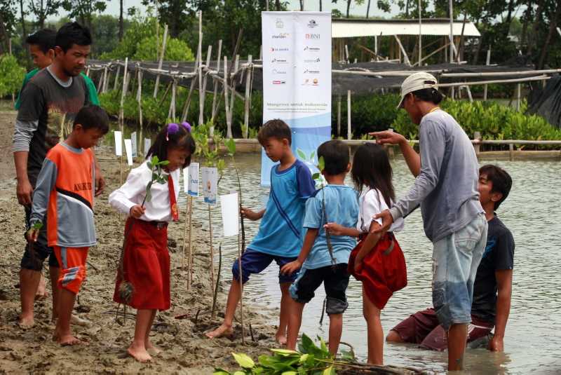 Libatkan Pelajar, JMI Ajak Warga Tanam Mangrove Untuk Menjaga Ekosistem Pesisir 2