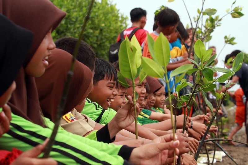 Libatkan Pelajar, JMI Ajak Warga Tanam Mangrove Untuk Menjaga Ekosistem Pesisir 3