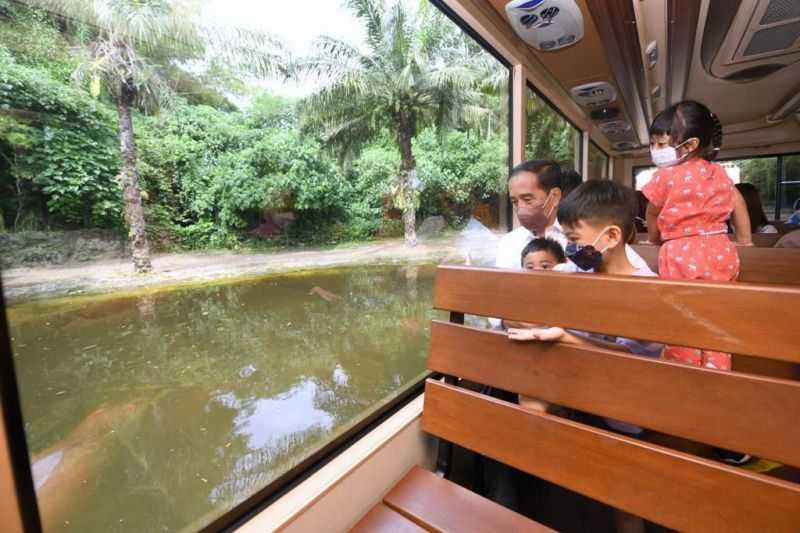 Libur Lebaran, Presiden Jokowi Jalan-jalan Bersama Cucu Lihat Aneka Satwa di Bali