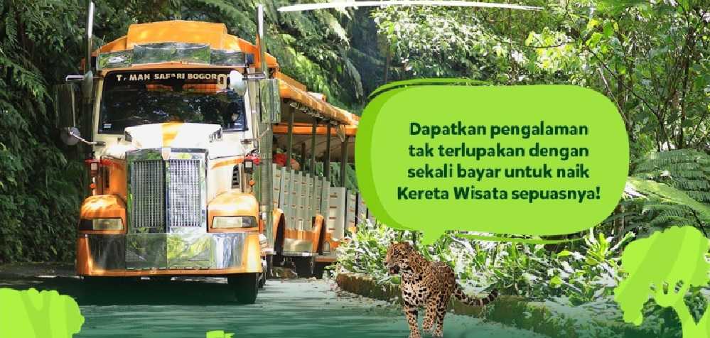 Liburan Seru di Taman Safari Bogor Cuma Rp175 Ribu, Gratis Kereta Wisata!