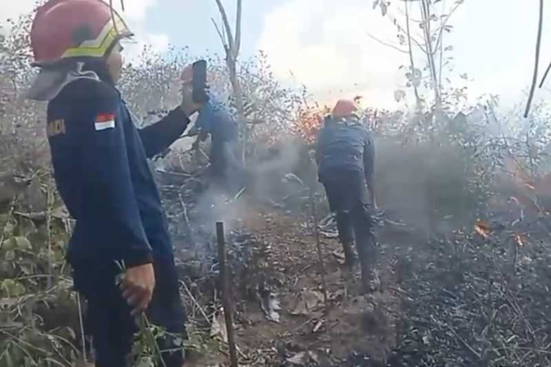 Lima Hektare Lahan di Desa Penyangga Kawasan Mandalika Terbakar