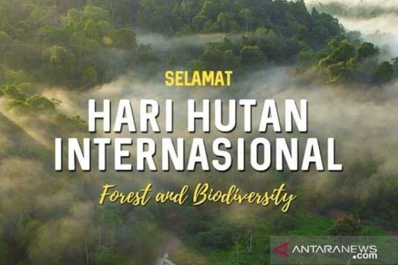 Lindungi Hutan, Guru Besar IPB Dorong Pemakaian Produk Hutan Bersertifikat dari Kertas hingga Furnitur