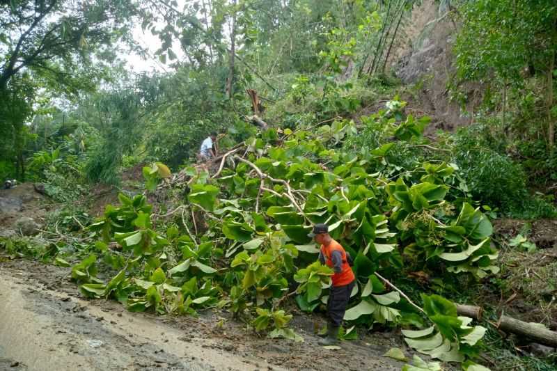 Longsor Akibatkan Jalur Selatan Trenggalek Perbatasan Pacitan Putus