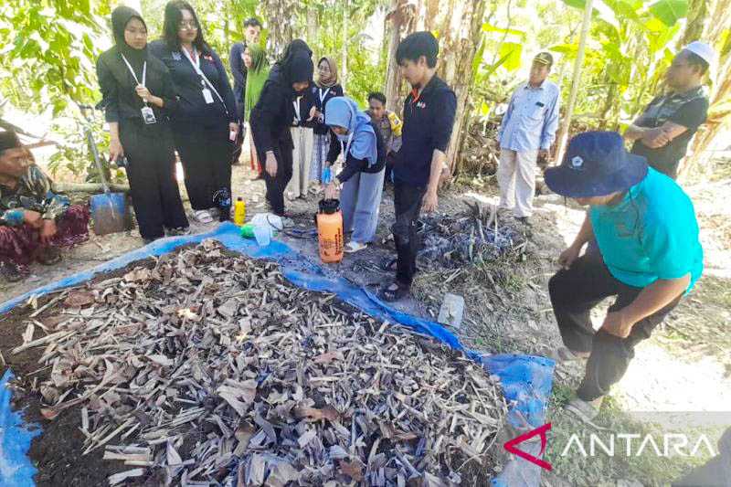 Mahasiswa UB Latih Petani Mengolah Limbah Menjadi Pupuk Kompos