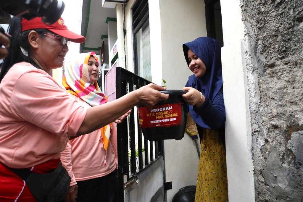 Mak Ganjar Berbagi 500 Pohon Cabai Door to Door di Jakpus