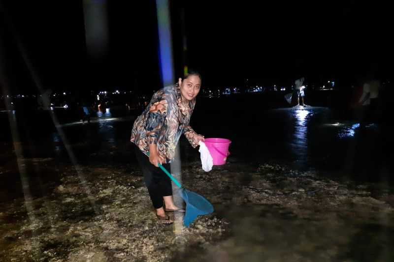 Malam-malam Warga Lombok Berburu Cacing Laut di Pantai Seger Mandalika. Seru!