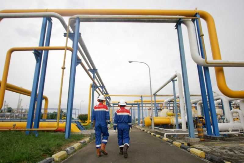 Mantap! PGN dan PIM Kembangkan Bisnis Gas Ramah Lingkungan Blue Ammonia. Komitmen Kurangi Emisi Karbon