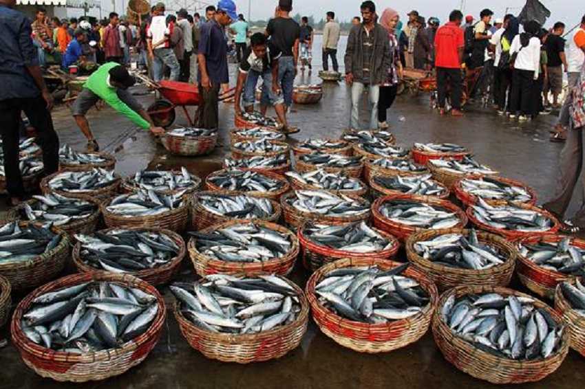 Masyarakat Harap Maluku Lumbung Ikan Nasional Cepat Diwujudkan