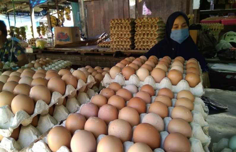 Melegakan, Harga Telur Ayam Ras di Makassar Bergerak Turun Jelang Ramadhan