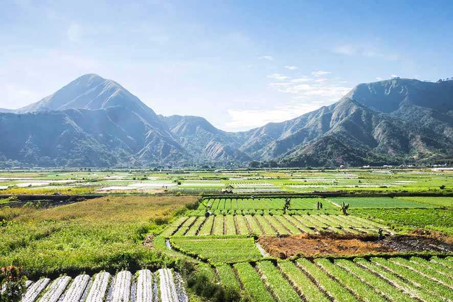 Melihat Desa Tetebatu,  Calon Best Tourism Village