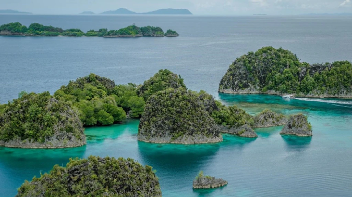 Membanggakan! 'Lonely Planet' Nobatkan Raja Ampat Jadi Destinasi Wisata yang 'Harus Dikunjungi'