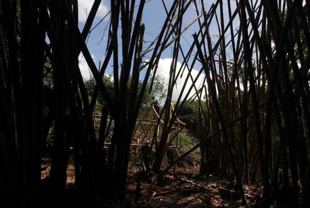 Membangun Desa Wisata bambu 1