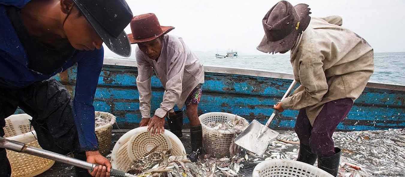 Menangkal Perbudakan Era Modern di Industri Makanan Laut Thailand