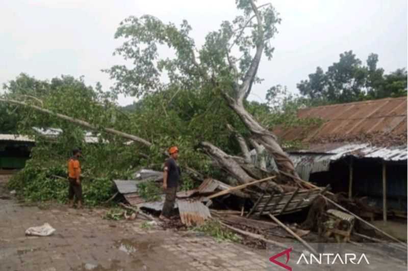 Mengagetkan, Lima Kecamatan di Lombok Barat Diterjang Angin Puting Beliung