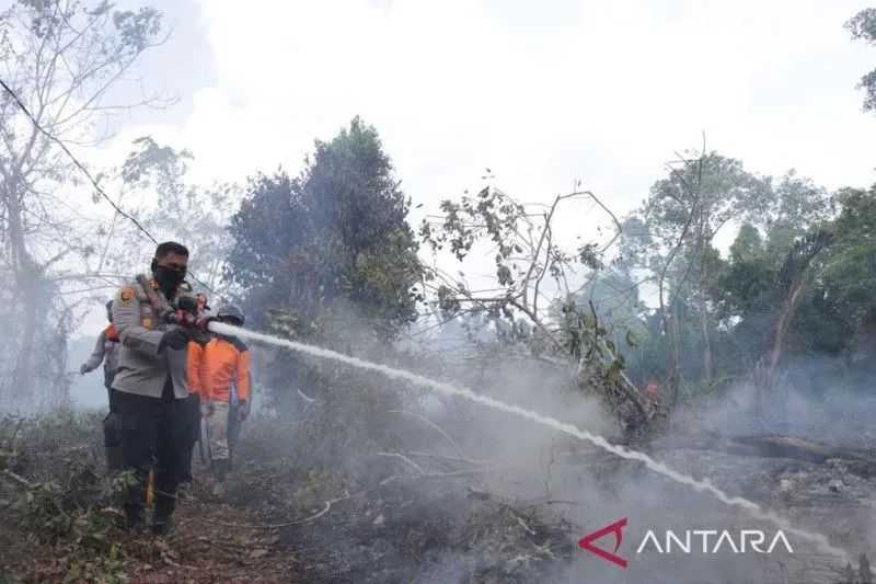 Mengerikan! Seribu Hektare Lebih Lahan di Riau Terbakar Hanya dalam Waktu Setengah Tahun