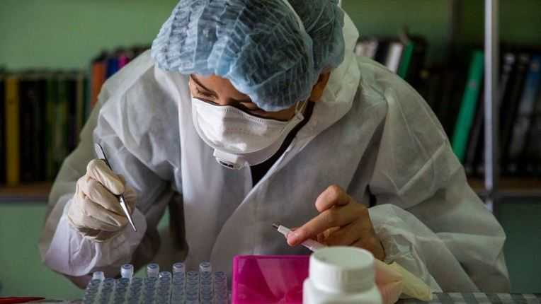 Mengerikan! Virus Baru Merebak di Tiongkok, Lagi-lagi Disebarkan dari Hewan ke Manusia