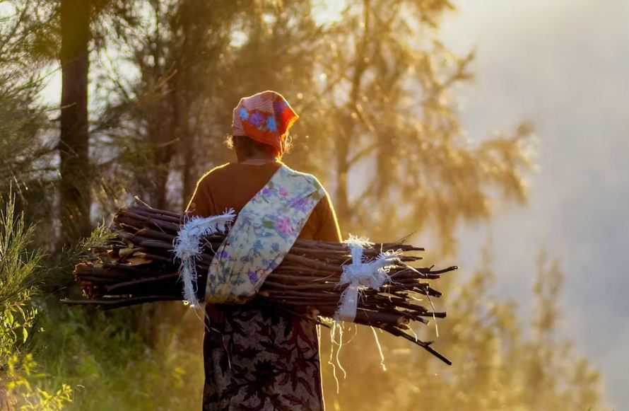 Menggali Akar Kemiskinan Kronis Masyarakat Kawasan Hutan