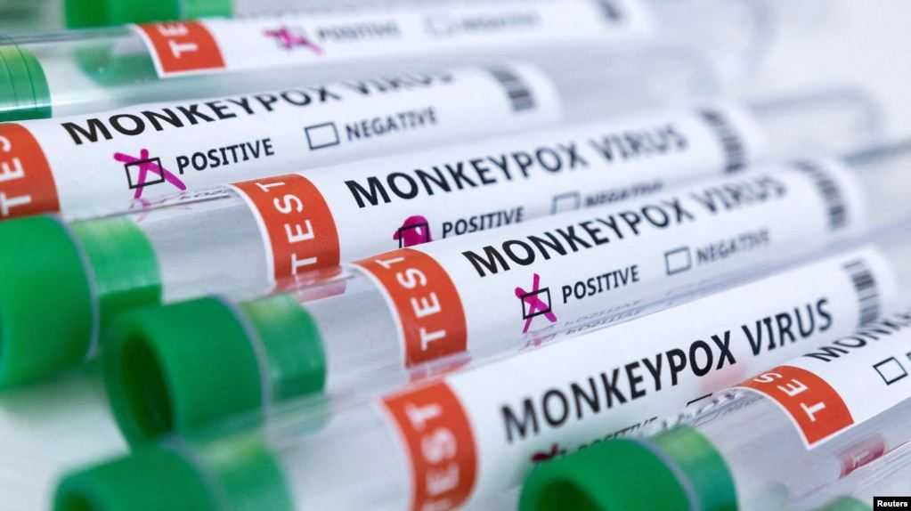 Mengkhawatirkan, Kasus Cacar Monyet Naik Tiga Kali Lipat di Eropa, WHO Belum Nyatakan Darurat Kesehatan