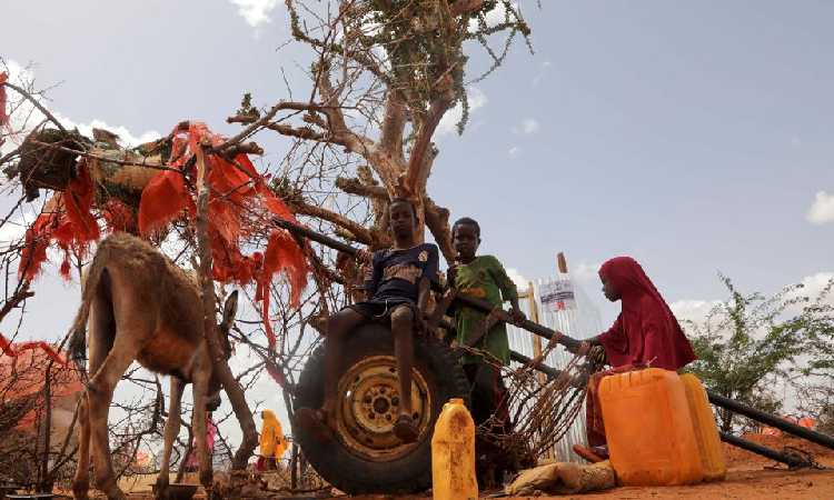 Mengkhawatirkan Sekali! Ancaman di Depan Mata, Negara Ini Diramal Bakal Dilanda Kelaparan