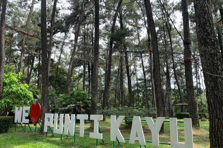 Menikmati Liburan Akhir Tahun dalam  Suasana Alam Hutan Kota di Punti Kayu