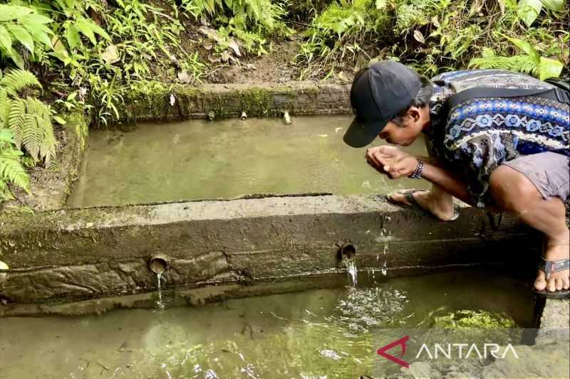 Menjaga Gunung Hapuk Sebagai Sumber Mata Air Bagi Suku Dayak Meratus