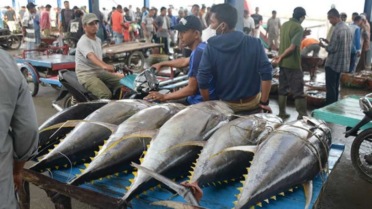Menkop UKM Pacu Koperasi Ikan Tuna di Biak