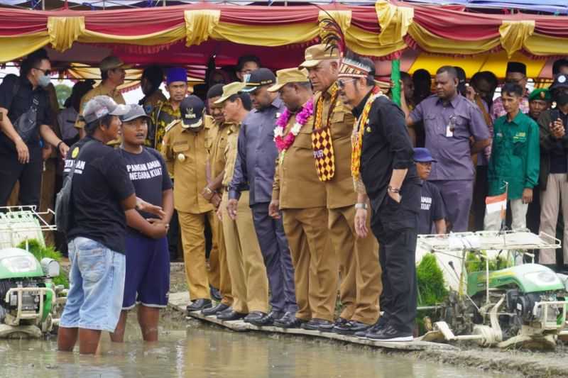 Menteri Pertanian Minta Papua Barat Lestarikan Sagu Sebagai Cadangan Pangan